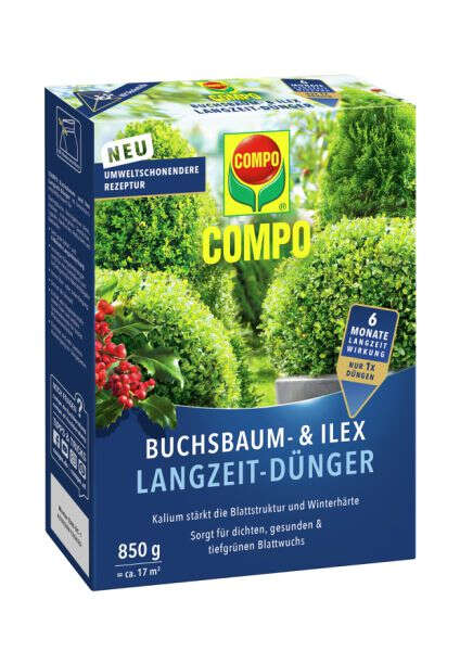 COMPO Buchsbaum- und Ilex Langzeit-Dünger